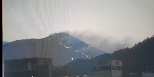 3일 새벽 부산 해운대구 운봉산 화재 상황. 부산경찰청 제공